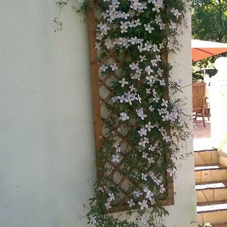 Haus Am See * ברוגן